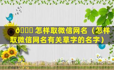 💐 怎样取微信网名（怎样取微信网名有关草字的名字）